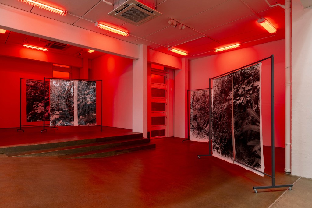 Ausstellungsansicht G2 Schaulager: Berit Schneidereit – THE INTERSTICES OF THIS PLACE, 17. Januar – 4. Mai 2025. Foto: Dotgain.info ©